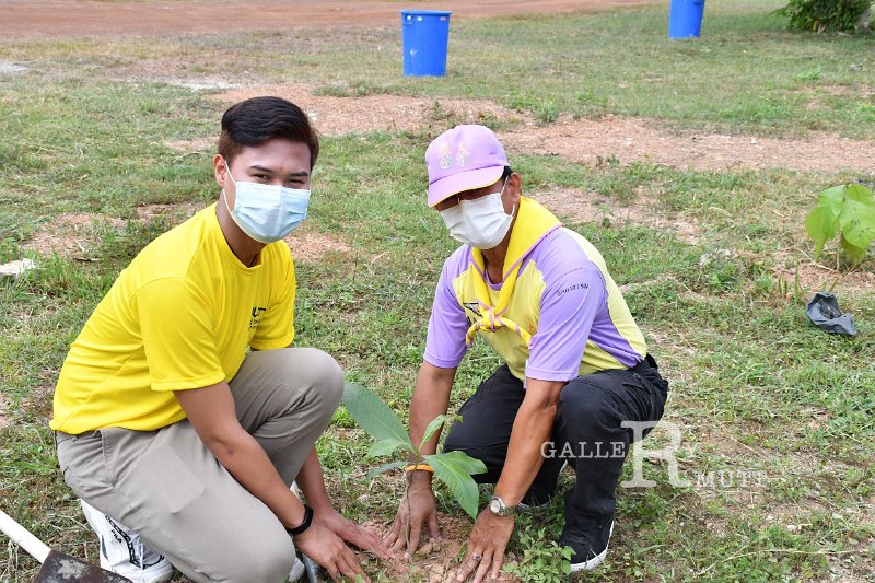 20210526-Tree planting dayt-066.JPG